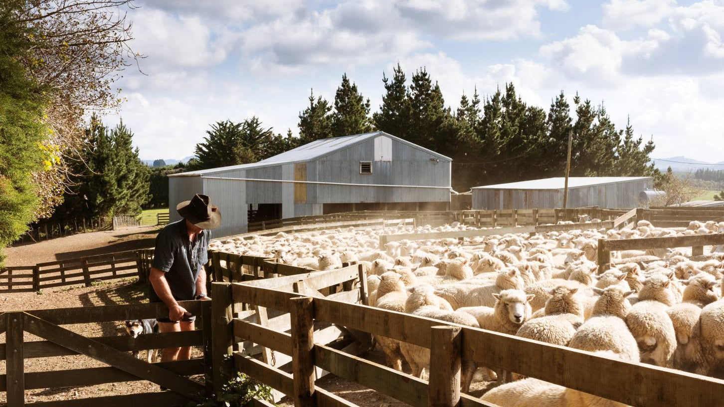Foxtrot Home Co-Founder Kate's Family Farm.