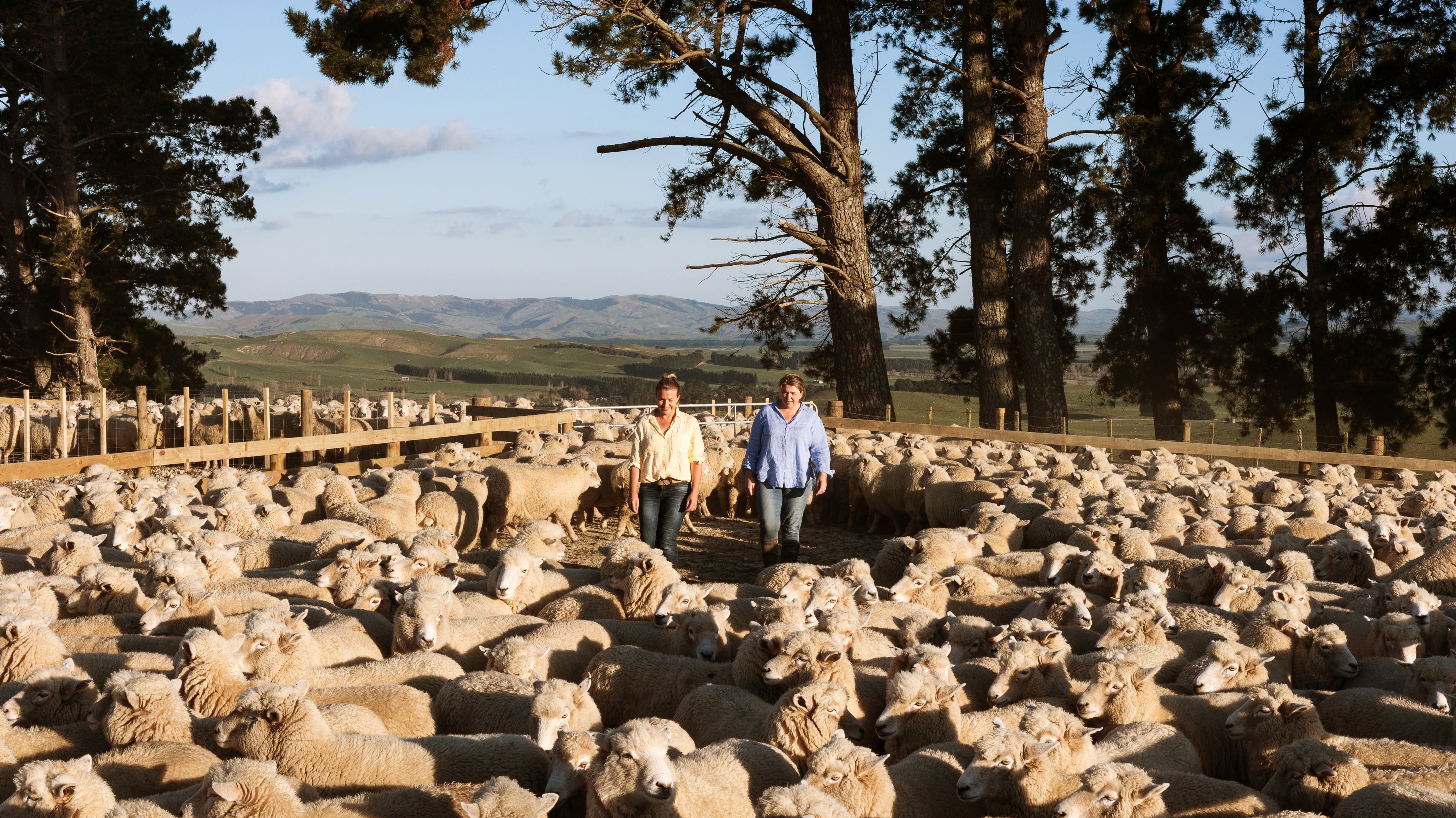NZ Wool and Sustainability with AA Home & Living Magazine.