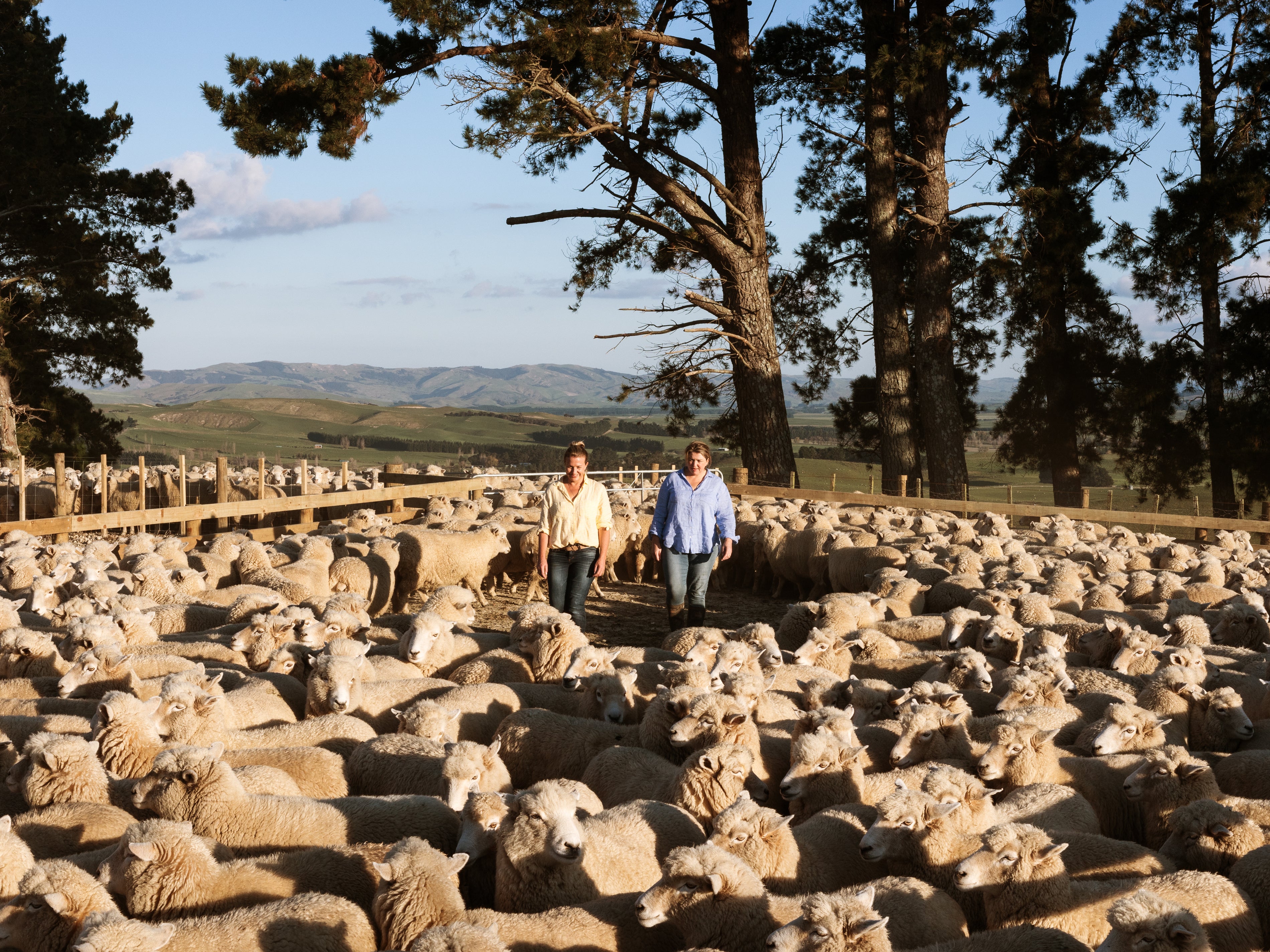 NZ Wool and Sustainability with AA Home & Living Magazine.