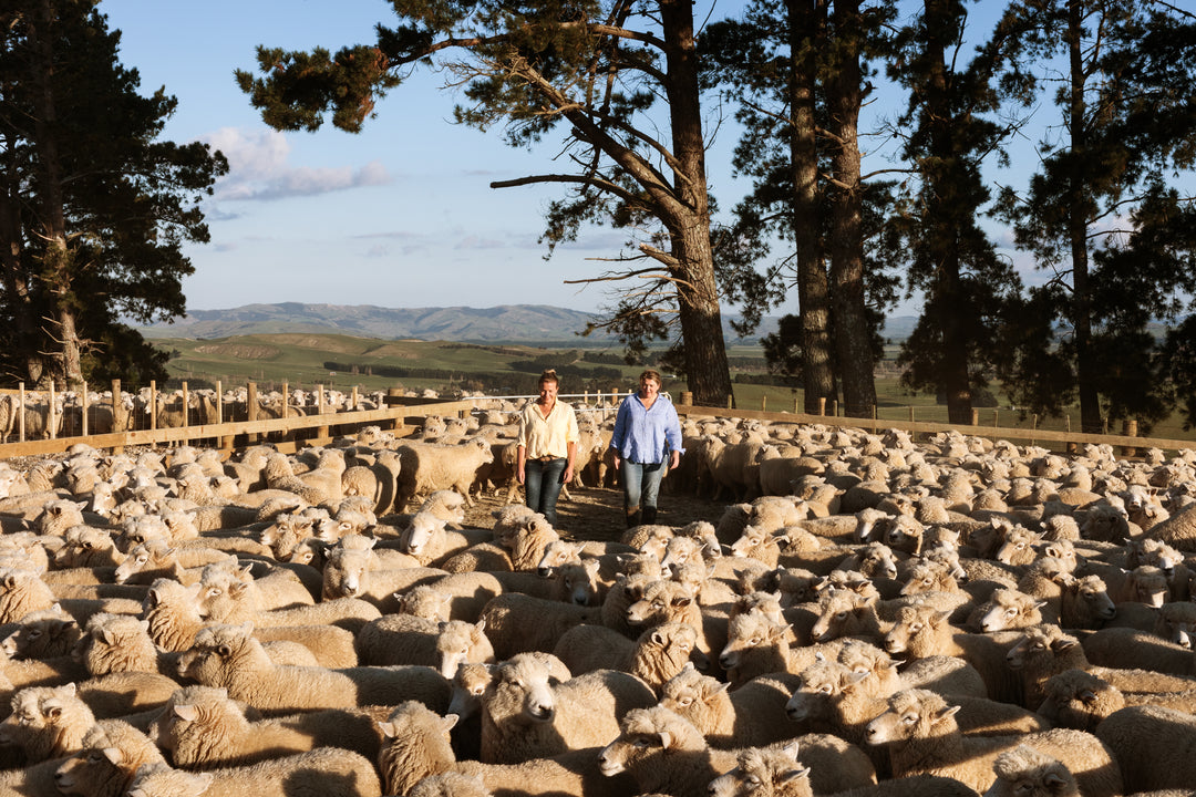 NZ Wool and Sustainability with AA Home & Living Magazine.