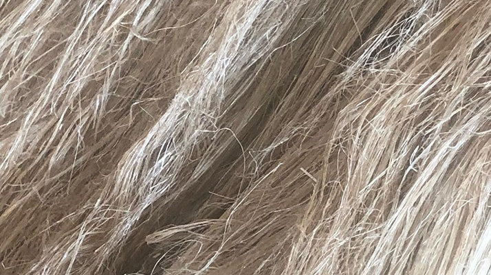 A Brief History of Linen