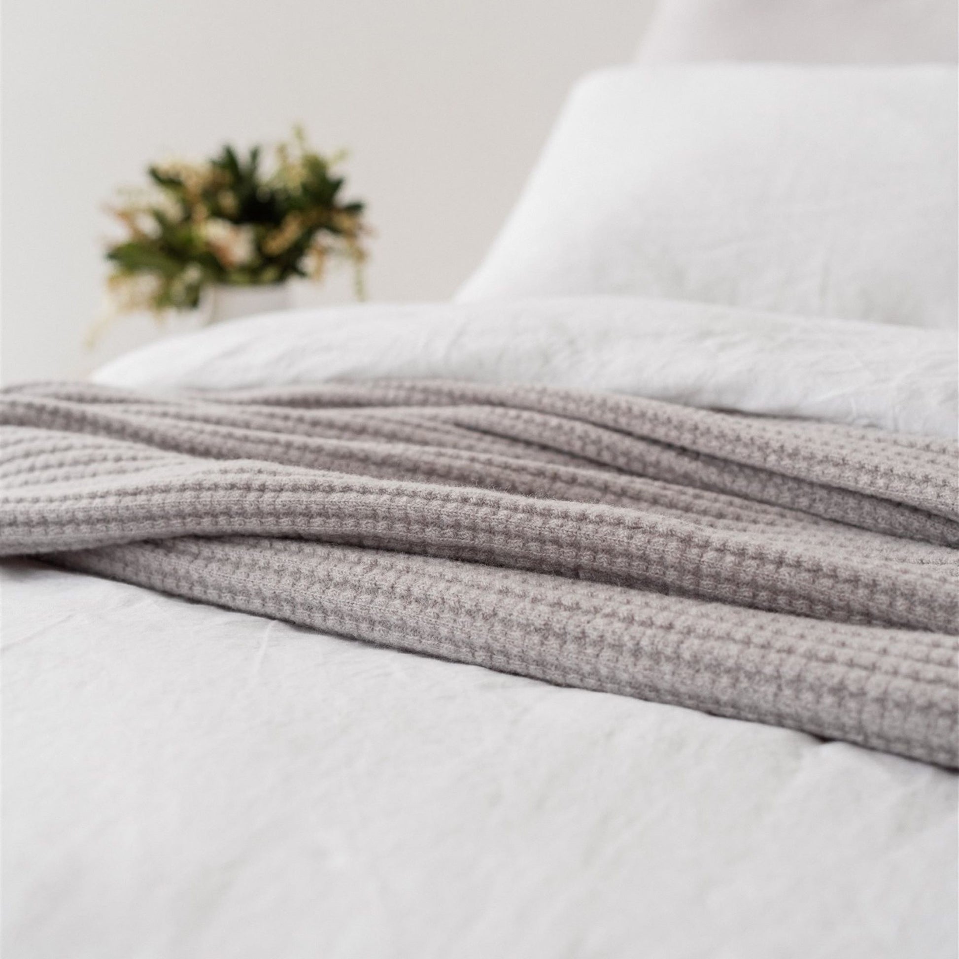 Foxtrot Home New Zealand Wool Throw Blanket Cloud
